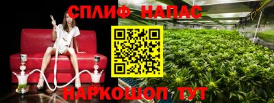 спиды Таганрог